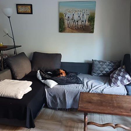 Appartement Rez-De-Jardin Grand Studio à Cros-de-Cagnes Extérieur photo